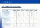 팬텍앤큐리텔 광고기획서 9페이지