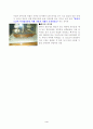 명량대첩을 다녀와서 4페이지