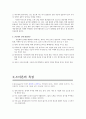 관료제의 의미와 관계적 구조 xy이론  2페이지