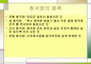 전통식품 청국장 3페이지