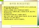 전통식품 청국장 6페이지