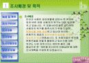 블로그의 이용실태에 관한 설문 계획서 3페이지