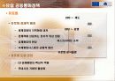 유로화의 도입과 현황 8페이지