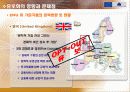 유로화의 도입과 현황 11페이지