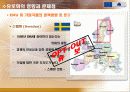 유로화의 도입과 현황 13페이지