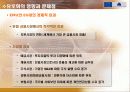 유로화의 도입과 현황 16페이지