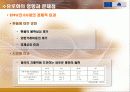 유로화의 도입과 현황 17페이지