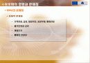 유로화의 도입과 현황 18페이지