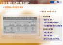 유로화의 도입과 현황 22페이지