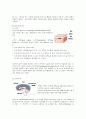 신경계 구조와 기능 5페이지