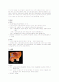 비뇨기계의 구조와 기능 6페이지