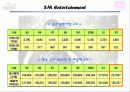 SM엔터테인먼트 해외시장진출전략(A+레포트) 9페이지