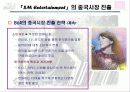 SM엔터테인먼트 해외시장진출전략(A+레포트) 27페이지