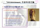 SM엔터테인먼트 해외시장진출전략(A+레포트) 29페이지