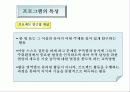 유치원 교육과정(프로그램)에 대한 소개 및 비평 6페이지
