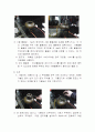 인화점 측정 실험 결과보고서 4페이지