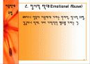 아동학대의 실태와 대응방안 5페이지