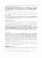 [예체능] 바이올린 7페이지