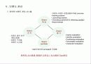 브랜드 마케팅 46페이지