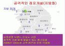 [외식산업]아웃백 성공과 차별화 전략 48페이지