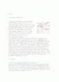 한국의 지자기 분포 [분석/조사] 2페이지