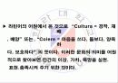 문화와 교육 3페이지