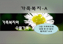 (가족복지) 한국의 가족복지 및 수발 가족들을 위한 복지 서비스 실태 및 문제점 해결방안 발표자료 2페이지