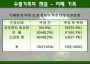 (가족복지) 한국의 가족복지 및 수발 가족들을 위한 복지 서비스 실태 및 문제점 해결방안 발표자료 11페이지