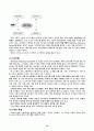 듀오의 성공과 CRM 15페이지
