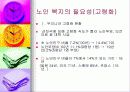 노인복지정책의 문제점과 해결방안 4페이지