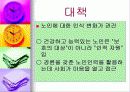 노인복지정책의 문제점과 해결방안 10페이지