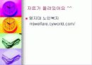 노인복지정책의 문제점과 해결방안 11페이지