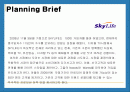 Skylife 마케팅 및 경영전략 분석 2페이지