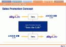 Skylife 마케팅 및 경영전략 분석 30페이지