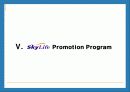 Skylife 마케팅 및 경영전략 분석 32페이지