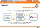 Skylife 마케팅 및 경영전략 분석 39페이지