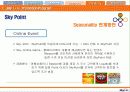 Skylife 마케팅 및 경영전략 분석 40페이지