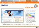 Skylife 마케팅 및 경영전략 분석 42페이지