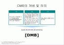 DMB의 성공적 정착을 위한 전략적 제언 3페이지