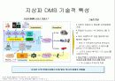 DMB의 성공적 정착을 위한 전략적 제언 6페이지
