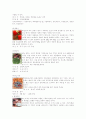 [관광경영]컨벤션 유치제안서(대전) 27페이지
