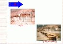 거푸집(거푸집공사현장의 모습들) 5페이지