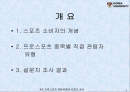 스포츠마케팅조사 2페이지