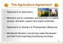 [통상협상]The Uruguay Round and the Overall Assessment 34페이지