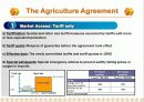 [통상협상]The Uruguay Round and the Overall Assessment 35페이지