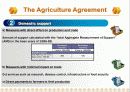 [통상협상]The Uruguay Round and the Overall Assessment 36페이지