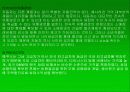 [마케팅]현대 에쿠스의 마케팅사례분석 15페이지