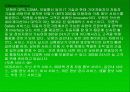 [마케팅]현대 에쿠스의 마케팅사례분석 17페이지
