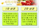 [경제]창업(사업계획서) 16페이지
