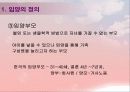 입양의 정의 및 현황 입양 가족의 문제점과 복지대책 7페이지